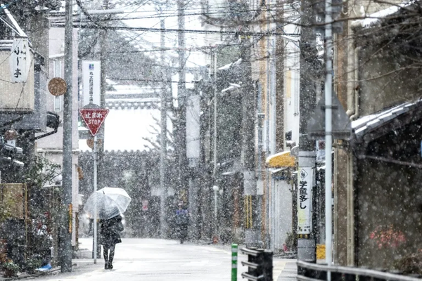 Tourists banned from private alleys in Kyoto's geisha district