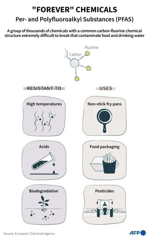 From polar bears to groundwater, nature is riddled with 'forever chemicals'