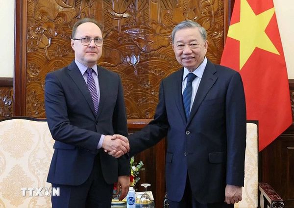 Vietnam sees Russia as one of top priority partners: state president