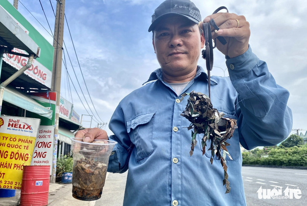 2kg of tire-puncturing nails collected from Ho Chi Minh City road in an hour