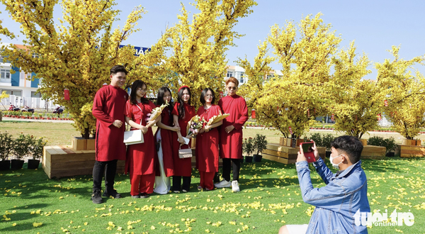 Vietnam map-shaped apricot blossom street stuns tourists