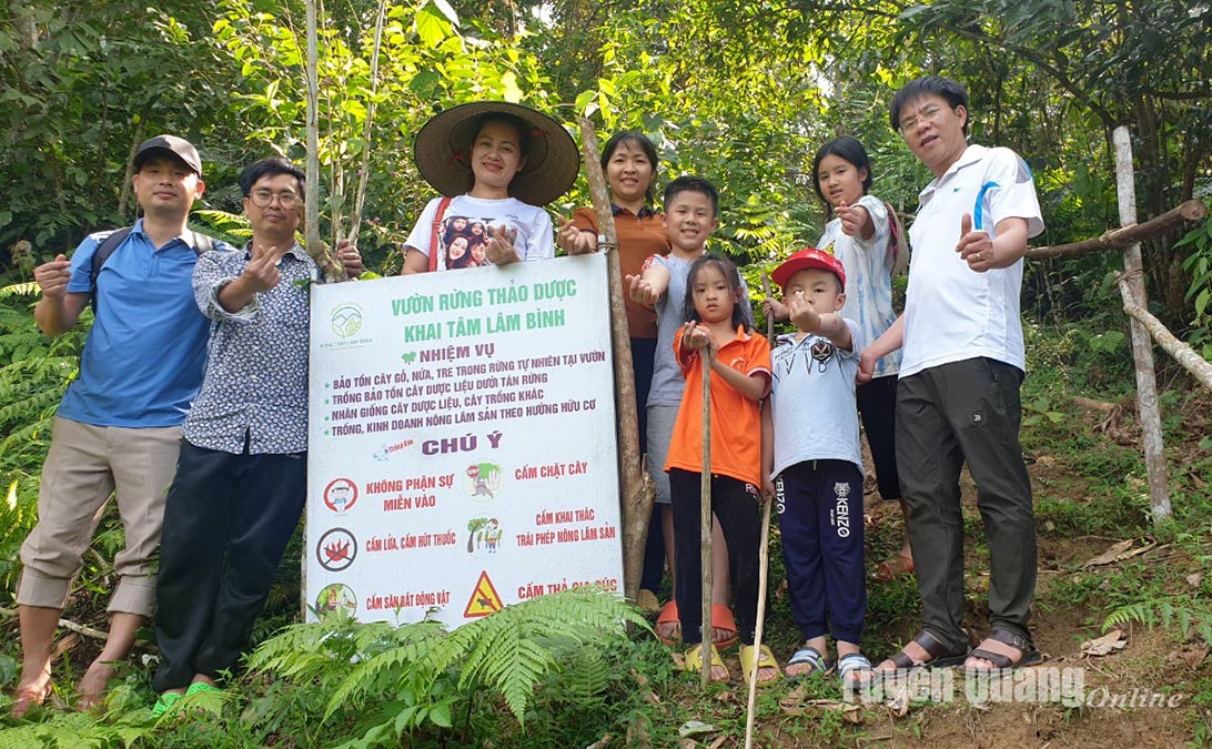 Planting medicinal herbs on the peak of mountain in Lam Binh