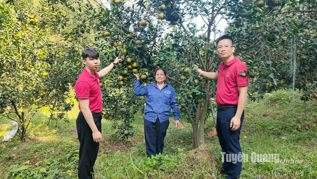 Agribank làm giàu cùng khách hàng