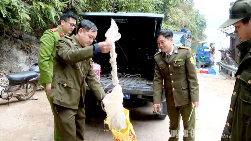 Tăng cường công tác bảo tồn đa dạng sinh học và bảo vệ các loài hoang dã