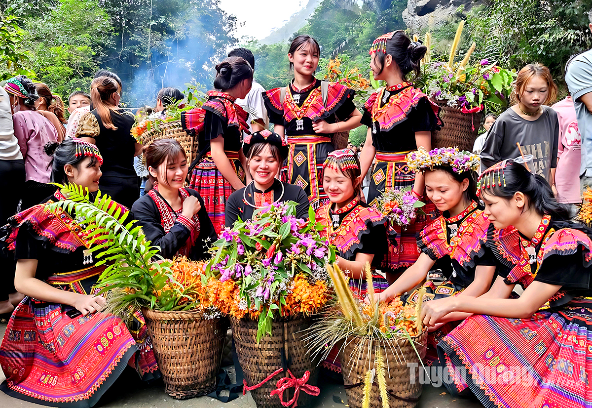 Beautiful flowers in Phuc Yen