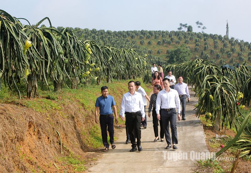 Phát triển cây ăn quả theo hướng bền vững