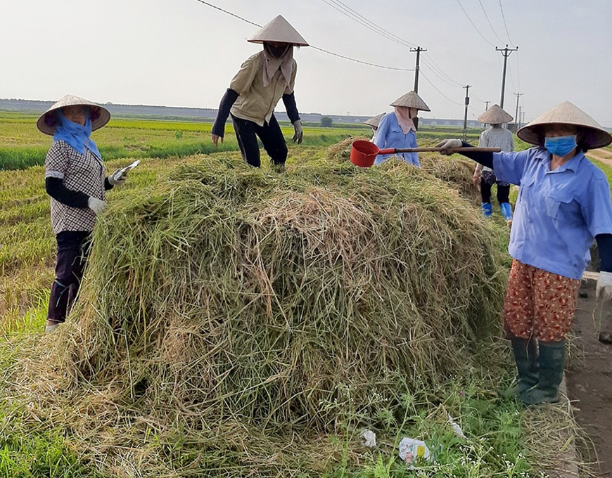 Utilizing agricultural by-products