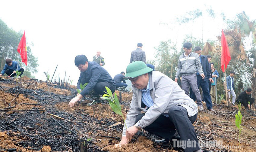 Preparing the best conditions for afforestation