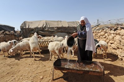 Anh trừng phạt 4 người định cư Israel 'cực đoan' vì bạo lực ở Bờ Tây đối với người Palestine