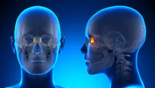 Anatomy of the Lacrimal Bone