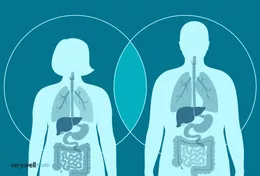 Alcohol and Liver Effects: What’s Reversible vs. Permanent?