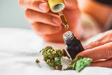 Biết gì về bệnh Marijuana và Parkinson? Trị liệu