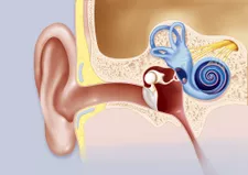 Phòng thí nghiệm của Cochlea