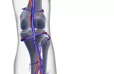 Sự phân tích của các loại kháng thể Popliteal