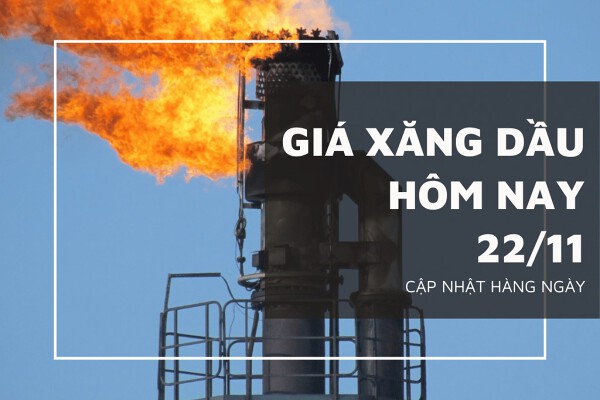 Giá xăng dầu hôm nay 22/11: Biến động trái chiều