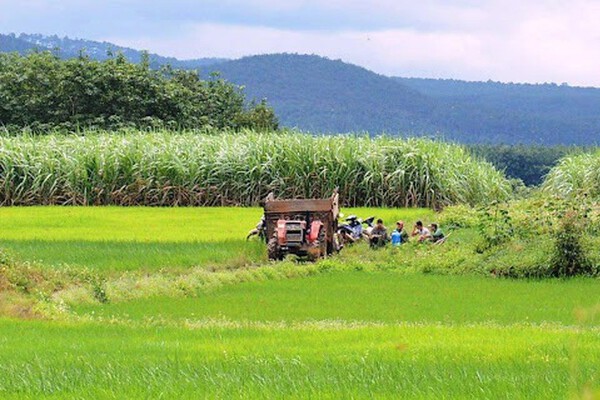 Quy định về tách thửa, hợp thửa đất