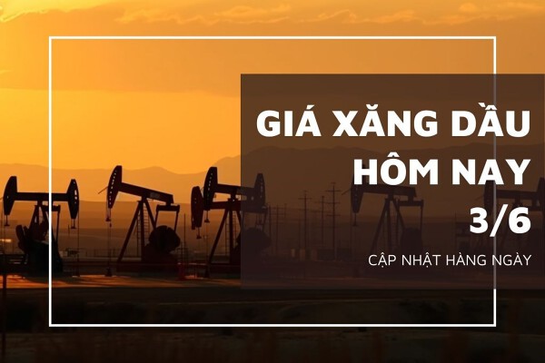 Giá xăng dầu ngày 3/6 biến động trái chiều sau khi OPEC+ gia hạn cắt giảm sản lượng