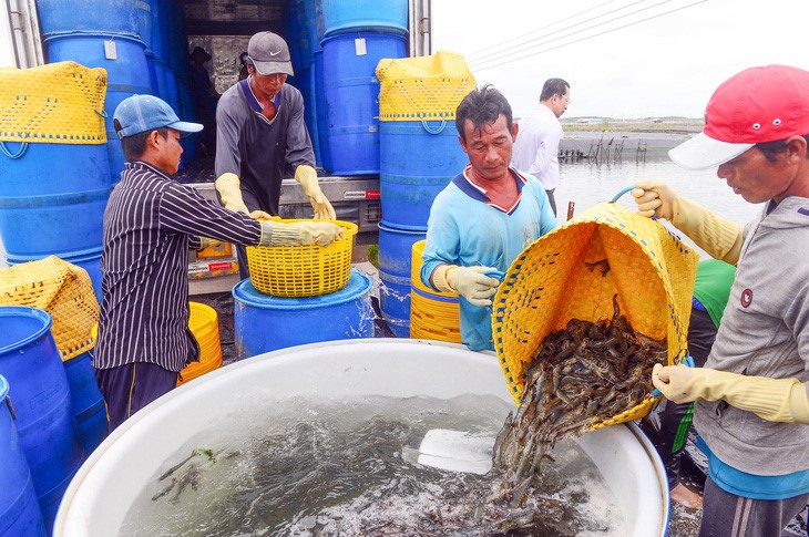 Trung Quốc, Mỹ, Nhật tăng nhập thủy sản Việt Nam