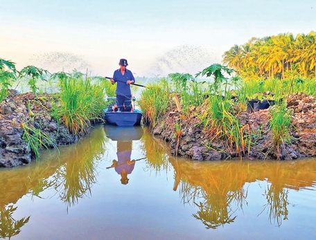 Nông nghiệp phát triển đúng định hướng, hiệu quả