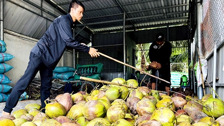 Vốn tín dụng chính sách hỗ trợ tạo việc làm, giảm nghèo bền vững