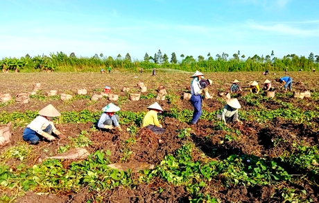 Xây dựng nông thôn mới xanh, bền vững