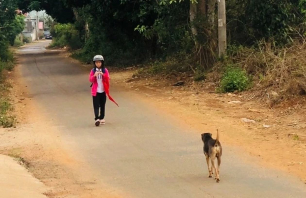 Hai tháng sau khi bị chó cắn, người đàn ông tử vong