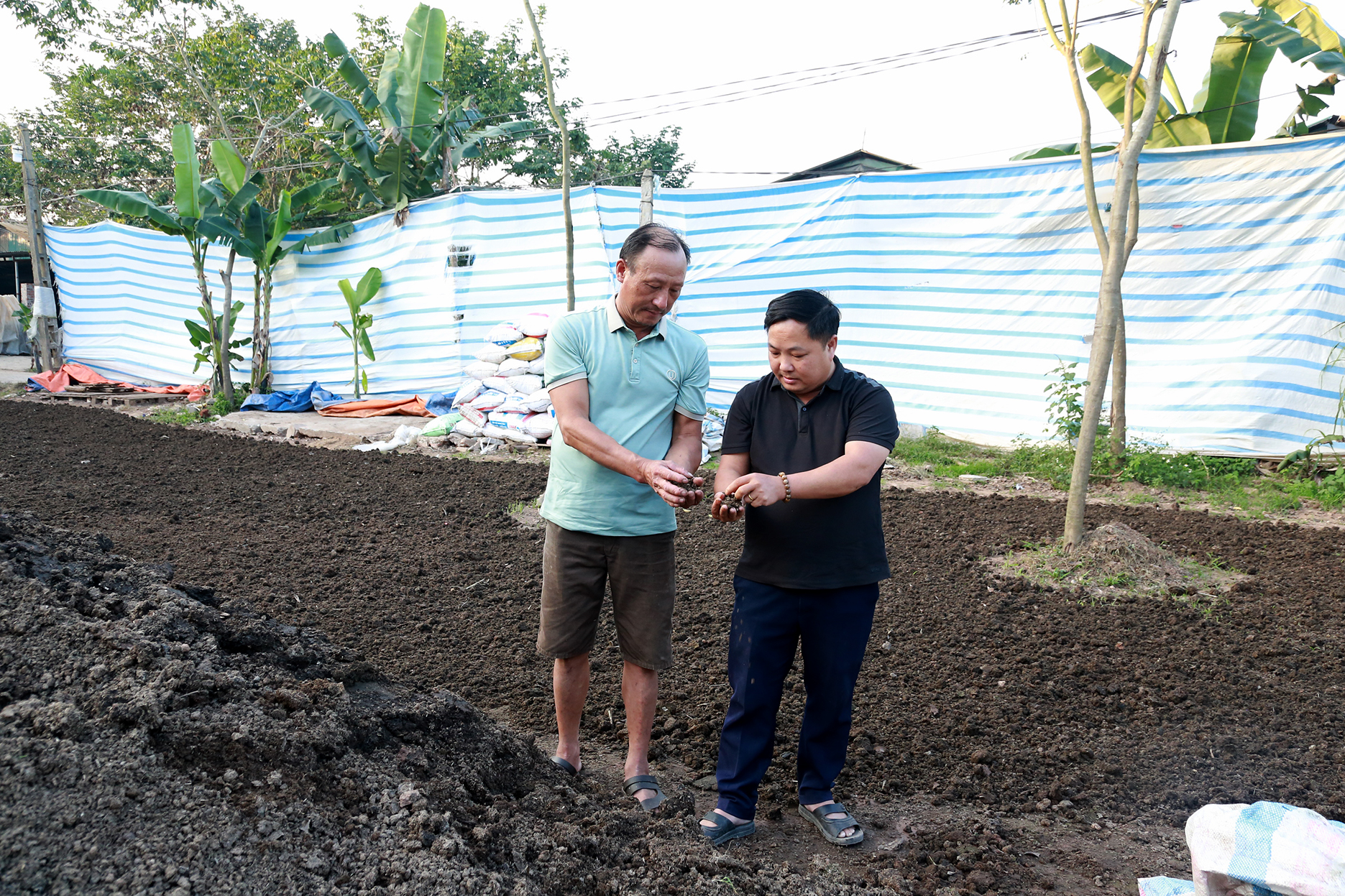 Tái sử dụng chất thải chăn nuôi khắc phục ô nhiễm môi trường