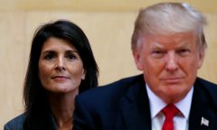 Nikki Haley - ứng viên có thể ngáng đường ông Trump tái tranh cử