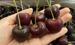 Lợi ích của cherry với sức khỏe