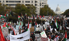 Hàng chục nghìn người Mỹ tuần hành ủng hộ Palestine