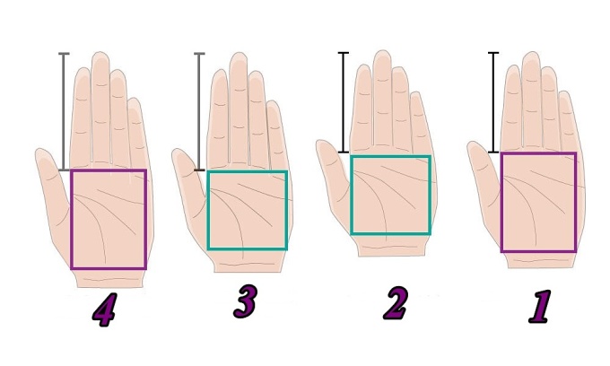 Lòng bàn tay, ngón tay ẩn chứa bí mật gì về bạn