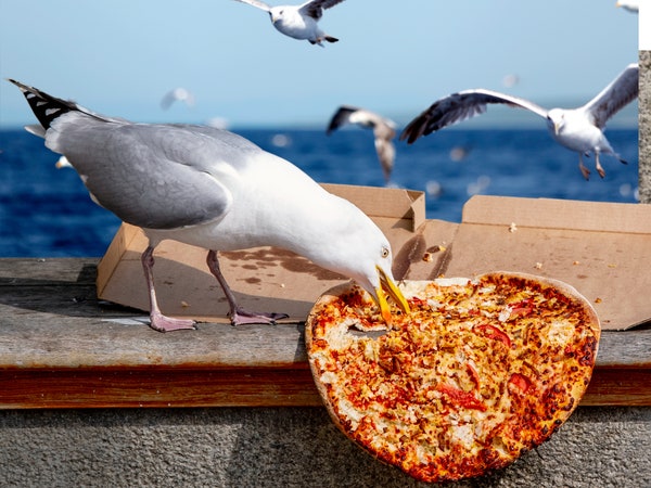 Hoa Kỳ Pizza