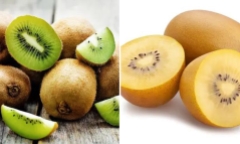 Kiwi vàng và kiwi xanh loại nào tốt hơn? 0 Gia đình