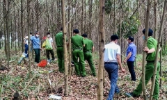 Phát hiện xác chết đã phân hủy trong rừng tràm ở Hà Tĩnh 0 Tin nhanh 24h