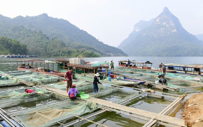 Làng chài giữa đại ngàn núi rừng Tuyên Quang