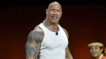 Bức ảnh: The Rock Transformed in First Pic From UFC Bienic 'The Smaking Machine '