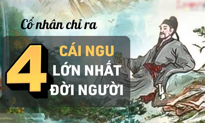 ''Ở đời có 4 cái ngu lớn nhất'', là 4 cái ngu nào? Câu nói này chứa đựng ý nghĩa gì từ cổ nhân?