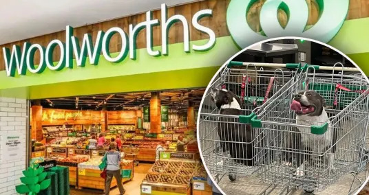 Woolworths mua sắm được chia cho "con chó đáng sợ"