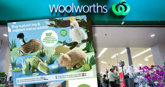 Chi tiết nhỏ trong việc quảng cáo từ thiện Woolworths: 'Cảm giác như một trò đùa '