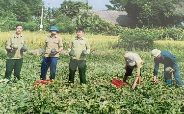 Hội Cựu chiến binh Thạch Lương phát huy Phong trào “Cựu chiến binh gương mẫu”