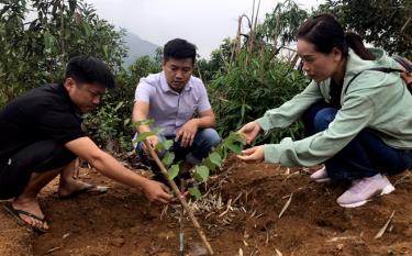 Yên Bái đẩy mạnh ứng dụng khoa học- công nghệ trong sản xuất nông nghiệp