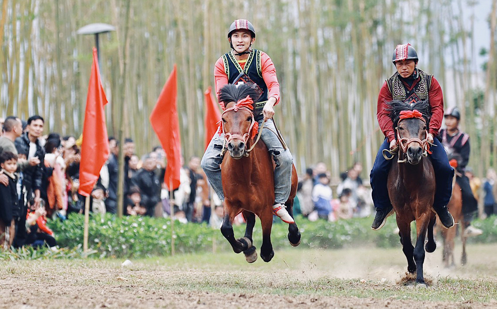 32 nài ngựa tham gia Giải đua ngựa đầu xuân 2024 - Shanrila Mường Lò