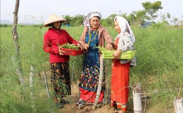 Sửa đổi điều kiện công nhận người có uy tín trong đồng bào dân tộc thiểu số