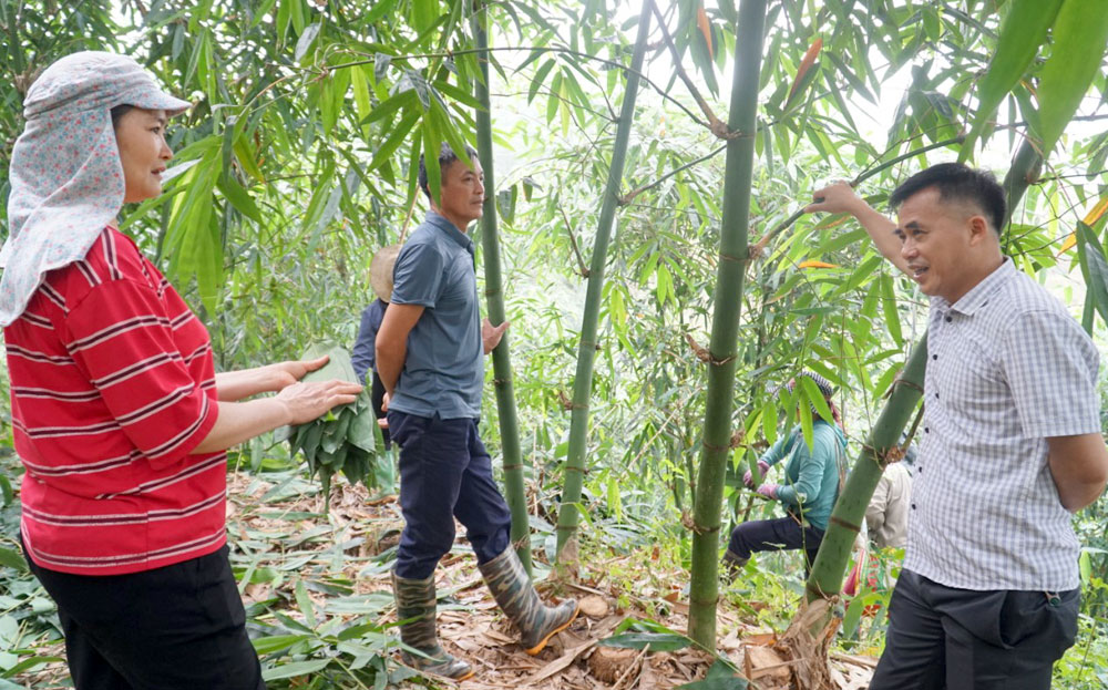 Nông dân Yên Bái đẩy mạnh phong trào nông dân thi đua sản xuất, kinh doanh giỏi