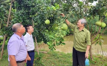 Người cao tuổi Yên Bái phát huy vai trò "tuổi cao- gương sáng"