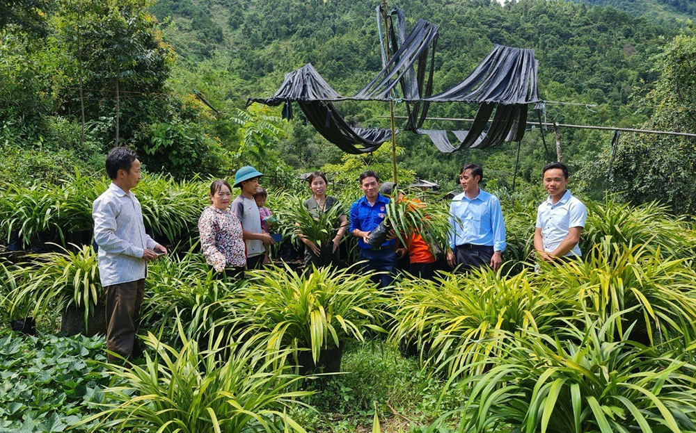 Mù Cang Chải nhân rộng mô hình thi đua dân vận khéo trong phát triển kinh tế