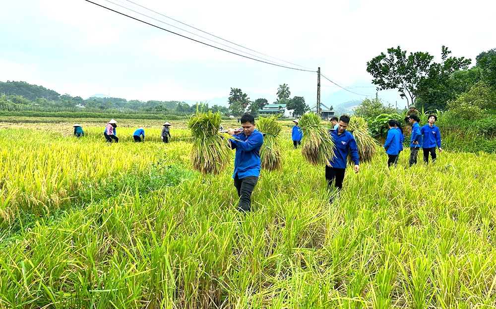 Tuổi trẻ Yên Bình góp sức xây dựng quê hương