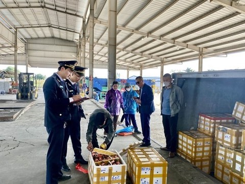 Border gate of Bắc Luân 2 bridge resumes operations after Tết