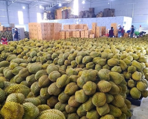 Vietnam sees many opportunities to promote fruit, vegetable exports to China