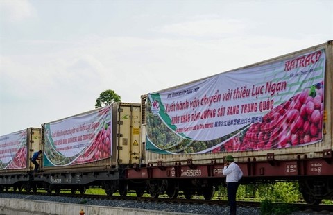 Firms strive to boost the export of agricultural products to China by rail